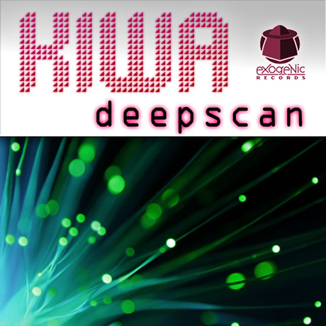 https://www.kiwa.fi/www1/wp-content/uploads/2013/05/kiwa_deepscan1.jpg